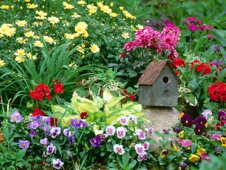 Bird House Garden - bird house, flowers, garden