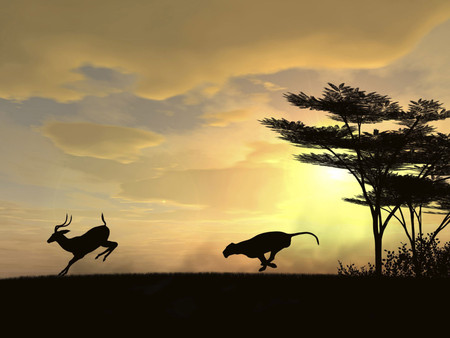 The race is on... - silhouette, antelope, trees, sunset, cheetah, africa, silhouettes, nature, leopard, chase