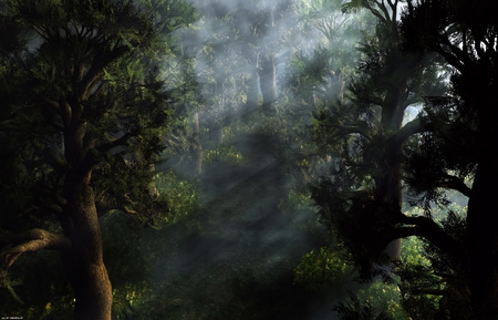 DREM FOREST - forest, trees, mist