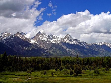 Majestic Mountains - trees, mountains, park, beautiful