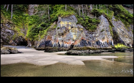 Painting nature - nature, beaches