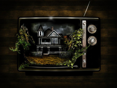 Ye Olde TV - plants, tv, haunted house, old