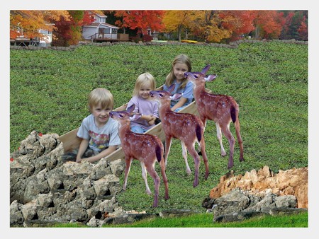 very precious - friends, sweet, precious, deer