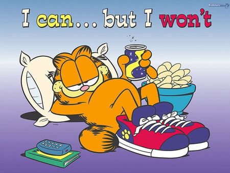 Garfield - comic, cat