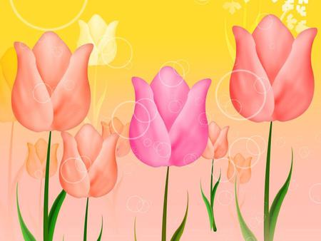 Flowers - tulips, abstract, flowers