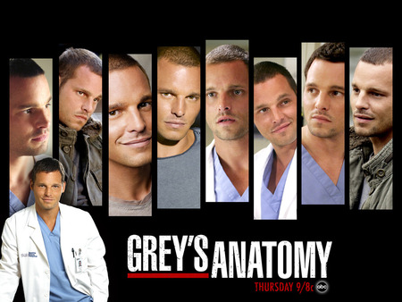 Greys Anatomy Alex - alex, primetime, greys anatomy, tv show