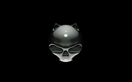 GRAPHICS - 3d, graphics, cat, skull