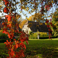 Autumn at Schloss muhr am See in Germany 