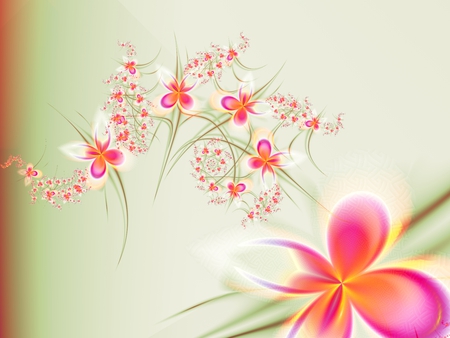 SIMPLE & ELEGANT - flowers, petals, pink