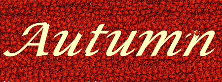 Autumn - logo, autumn