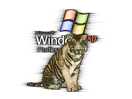 Tiger xp - windows, tiger