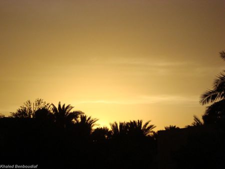 golden sky - nature, sky, sunset