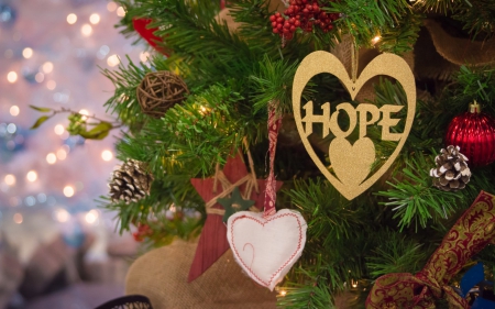 Merry Christmas! - decoration, lights, word, heart, craciun, hope, christmas, green