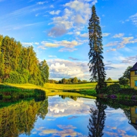 Countryside Reflection