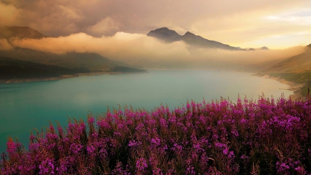 Flowers On The Alpine Lake - clouds, France, blue, beautiful, flowers, sunset, purple, lake, mountains