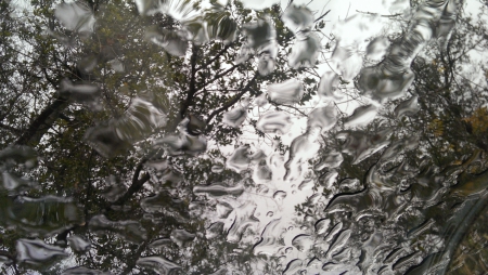 After I Wake - sky, abstract, trees, glass, rain, drops