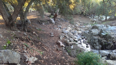 Flinn Springs Park - nature, trees, landscape, rocks, creek