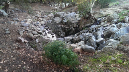 Flinn Springs Park - nature, trees, landscape, rocks, creek