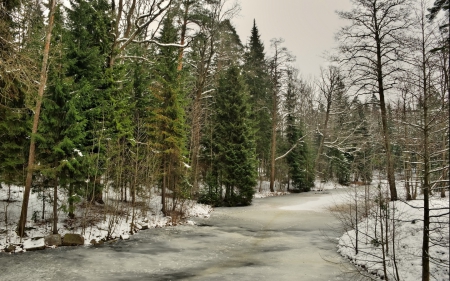 River - winter, trees, beautiful, river