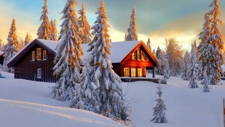 Winter - winter, amazing, house, snow