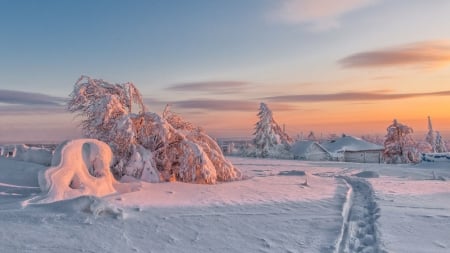 â™¥ - winter, nature, snow, cold