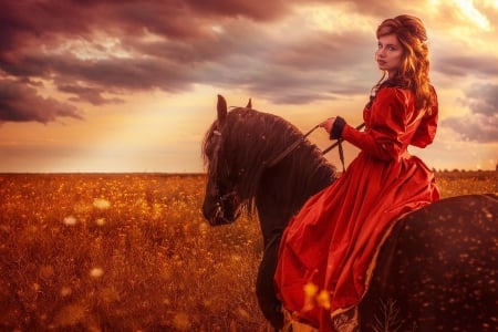 Beauty - rider, lady, photography, girl, horse