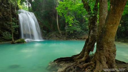 Thailand Waterfall - nature, forests, trees, thailand, waterfalls