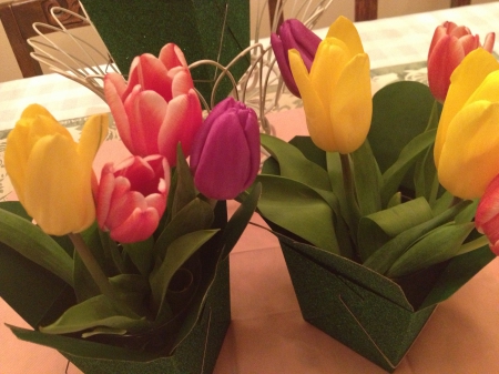 Delicate tulips - yellow, red, green, lovely, pink