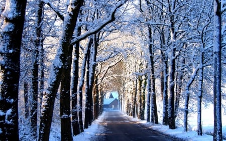 House at the End of Wintry Street - roads, trees, winter, nature, snow, houses