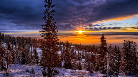 Sunset over Winter Forest - nature, sky, forests, trees, clouds, sunsets, winter, landscapes