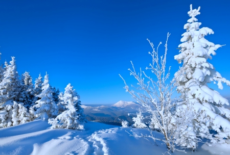 Winter season - season, sky, trees, mountain, winter, path, white, nature, beautiful, frost, snow