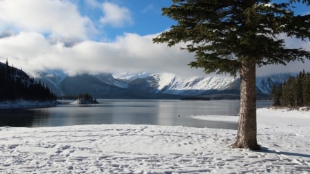 Winter Lake and Mountains - nature, lakes, trees, snow, winter, mountains