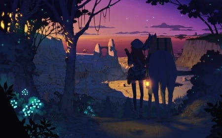 Exploration - back, anime, girl, lamp, city, night, stars, horse, hidden place