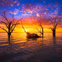 Lake Bonney Sunset, Australia