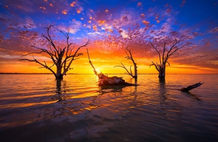 Lake Bonney Sunset, Australia - clouds, trees, water, yellow, blue, beautiful, orange, sunset, tranquility, red, lake, sky