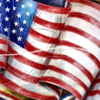 American Flag F1