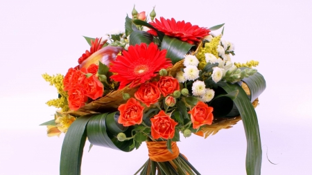 Lovely gerberas - leaves, white, green, red