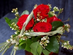 Red roses bouquet