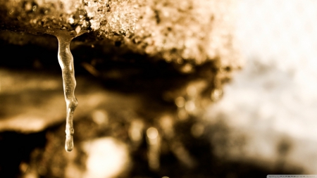 Winter icicle - abstract, close-up, winter, frosted, photography, frosty, HD, ice, frozen, frost, icilce, wallpaper