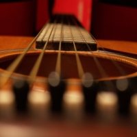 guitar strings macro