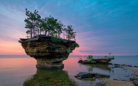 Sunset on the Oregon Coast - usa, trees, sunset, island