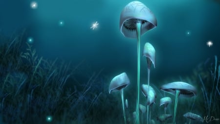 Magical Mushrooms - mystical, grass, night, magical, toad stools, aqua, glow, fantasy, dragonflies, mushrooms, turquoise