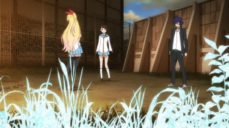 First Fight - nisekoi, anime girl, onodera, seifuku, brown hair, anime guy, blonde hair, chitoge kirisaki, evening, anime, ribbon, short hair, grass, skirt, raku ichijou, long hair, wallpaper, kosaki onodera, chitoge, school uniform, blue hair, fight, bow, red