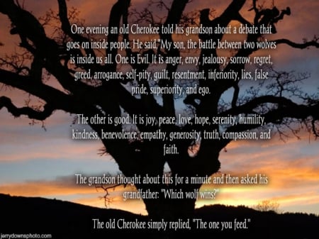 Indian Lore - tree, indian, sunset, quote