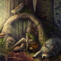 WILD FANTASY