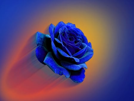 blue Flower - Red, Yellow, Flower, Blue