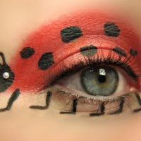 Ladybug