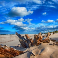 Beach, Slowinski National Park