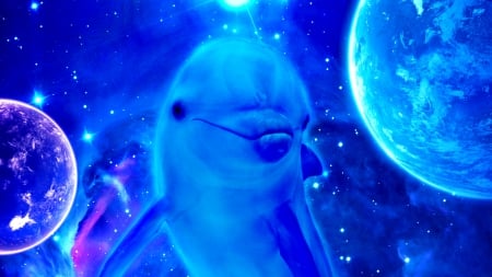 Open Mind - dolphin, sci-fi, fantasy, dream