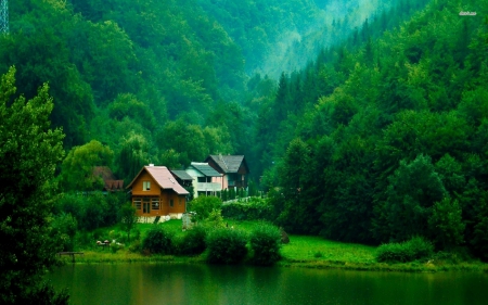 cabins on the lakeside transylvania - lake, grass, tree, cabin